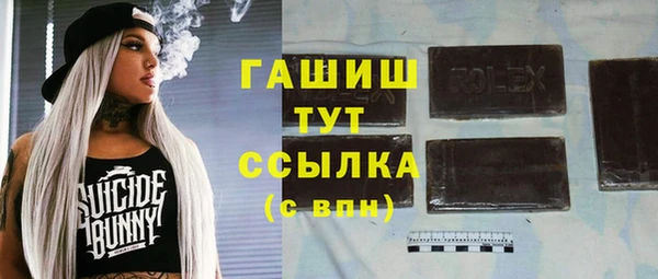 твердый Бородино