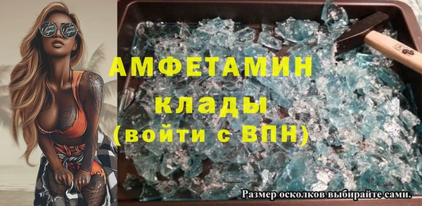 шишки Бронницы