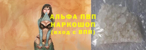 твердый Бородино