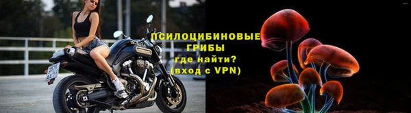 шишки Бронницы