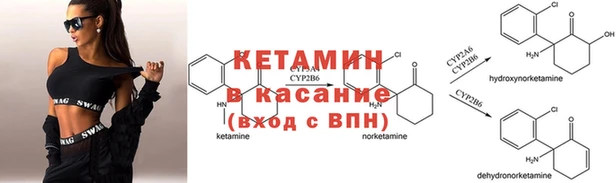 шишки Бронницы
