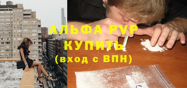 твердый Бородино