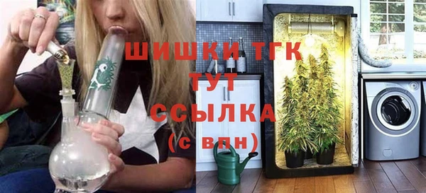 твердый Бородино