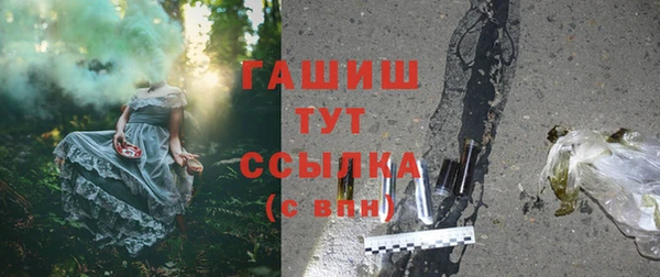 твердый Бородино