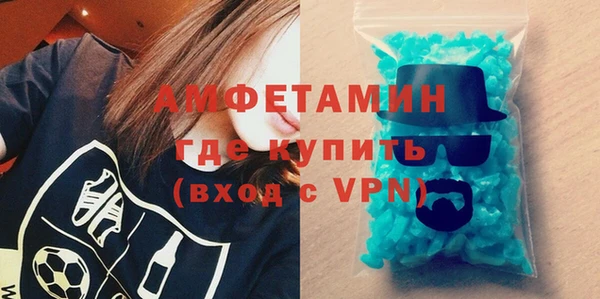 твердый Бородино