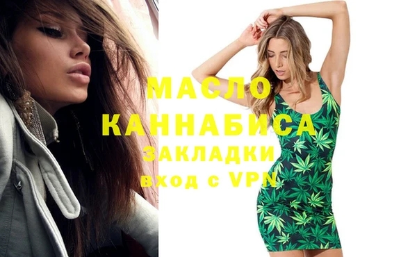 твердый Бородино