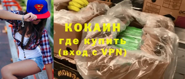 шишки Бронницы