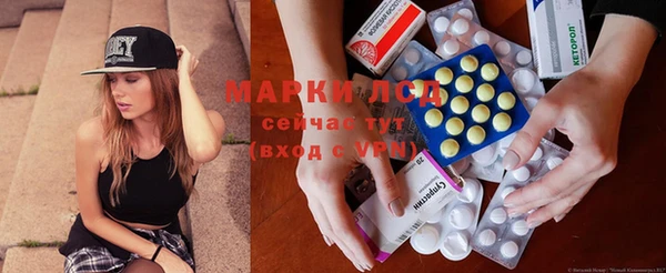 шишки Бронницы