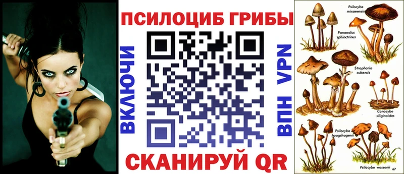 ссылка на мегу рабочий сайт  Балашиха  Галлюциногенные грибы Psilocybe  закладка 
