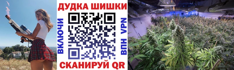 МАРИХУАНА сатива  как найти закладки  Балашиха 